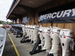 marine outboards lineup
